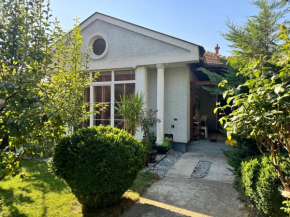 Villa gjini